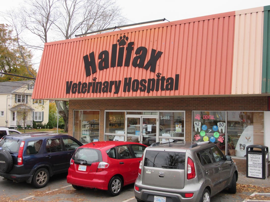 Interior FitUp of the Halifax Veterinary Hospital